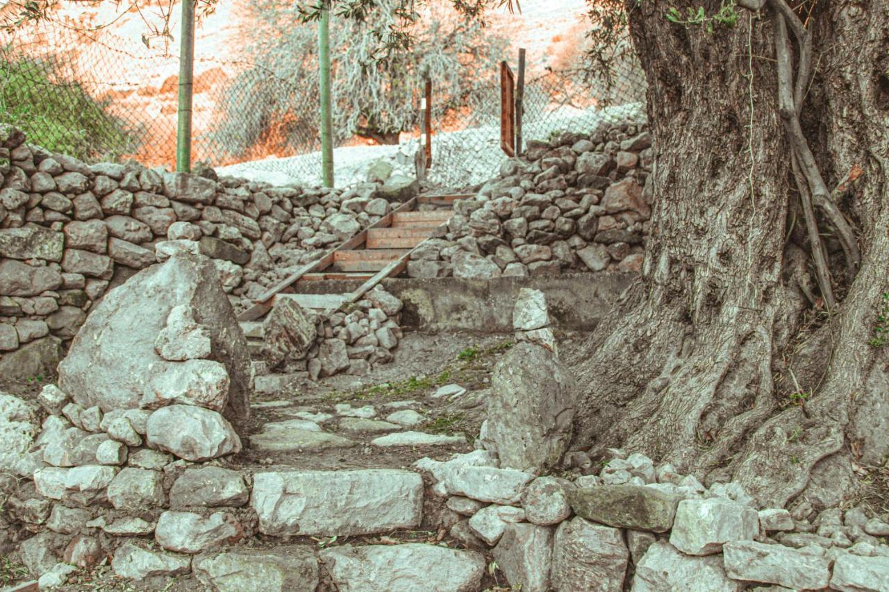Hobbit Village Dana Exterior foto